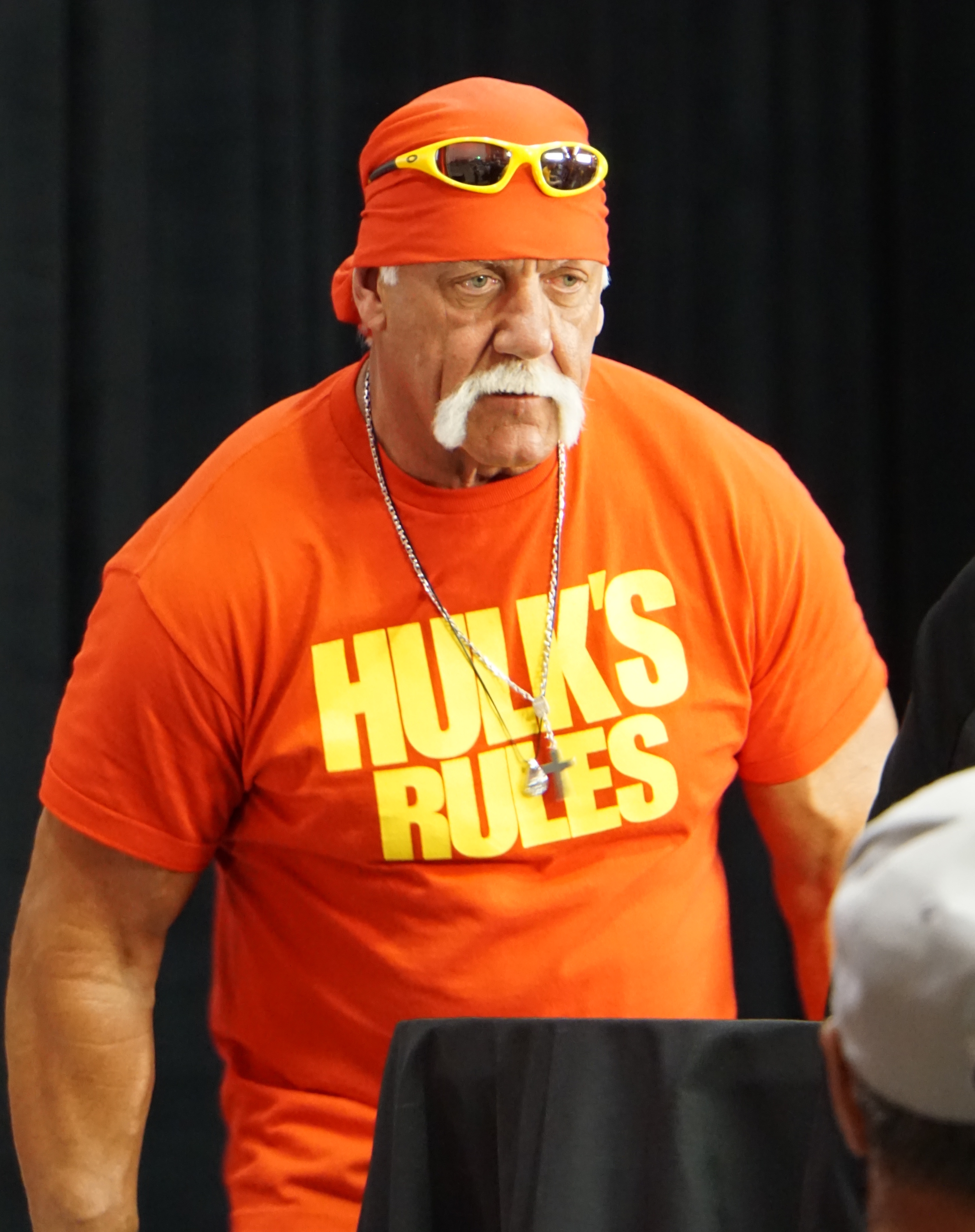 Hulk Hogan (cropped). Photo by Miguel Discart, cropped by Daniel Case. Source: https://commons.wikimedia.org/wiki/File:Hulk_Hogan_2015_cropped.jpg. Licensed under CC BY-SA 2.0.